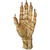 HAND OF GLORY(青蓄光版)《2016年11月下旬発送予定》