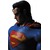 RAH SUPERMAN(HUSH Ver.)