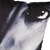 VINYL "SUGIZO" CUSHION TRUTH?《2018年10月発売予定》
